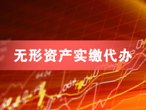 五大连池无形资产实缴资本代办